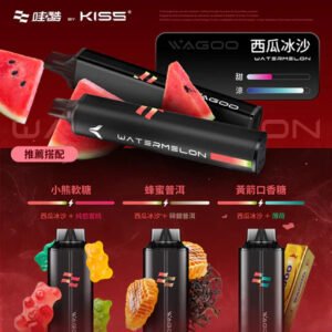 WAGOO 哇酷 6500 型 職人研發 KIS5 全密封系統 徹底終結漏油噩夢 瞬變 78 轉迷幻美學，每一口都是清亮純淨的頂級饗宴 台灣現貨